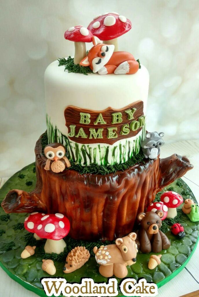 18595435_1908919369353637_3262370673685994219_o